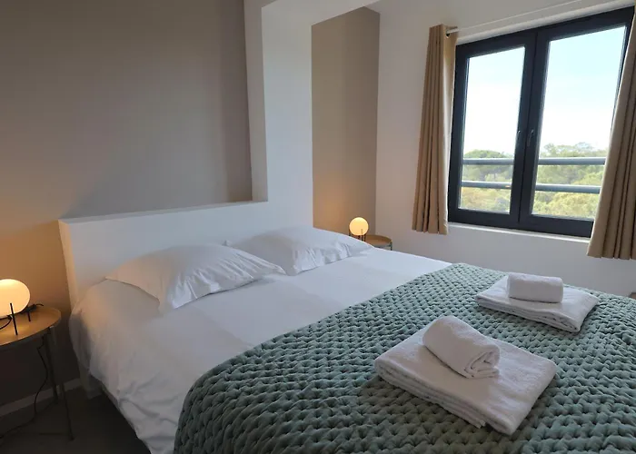 Apartament L'envol - T3 Vue Avec Piscine Et Privee *
