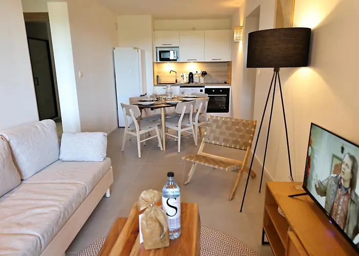 L'envol - T3 Vue Avec Piscine Et Privee *