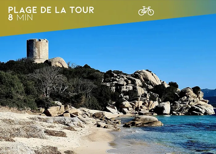 L'envol - T3 Vue Avec Piscine Et Privee Pianottoli-Caldarello (Corsica)